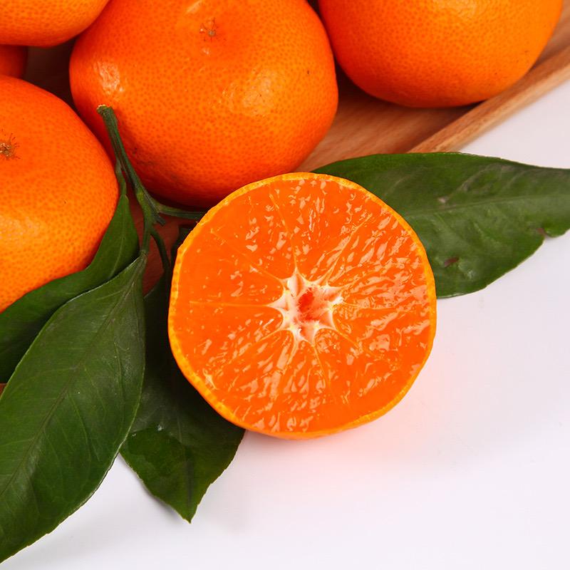 老邱家涌泉蜜桔