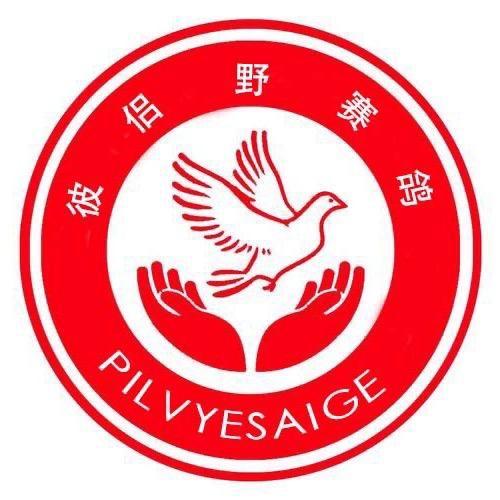 彼侣野赛鸽中药粉厂家直销-阿清喔