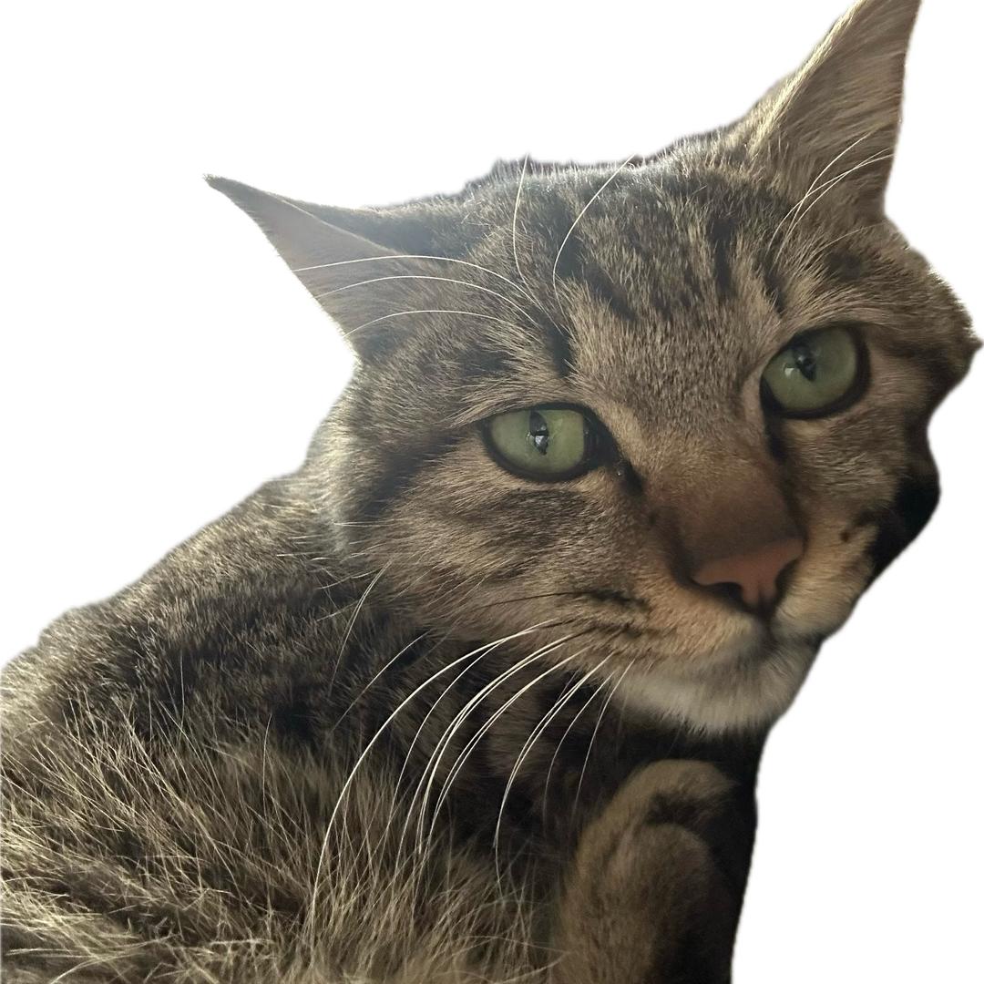 Kee