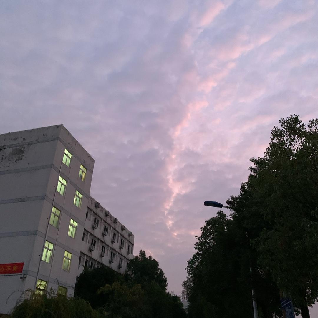 史迪仔T