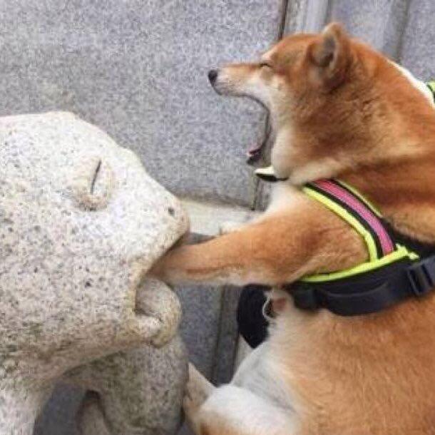 谁谁谁