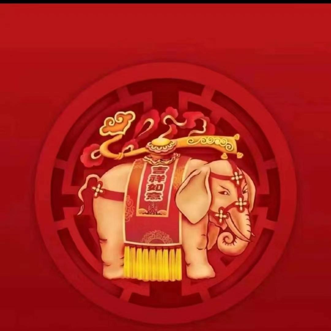 甄优优外贸店