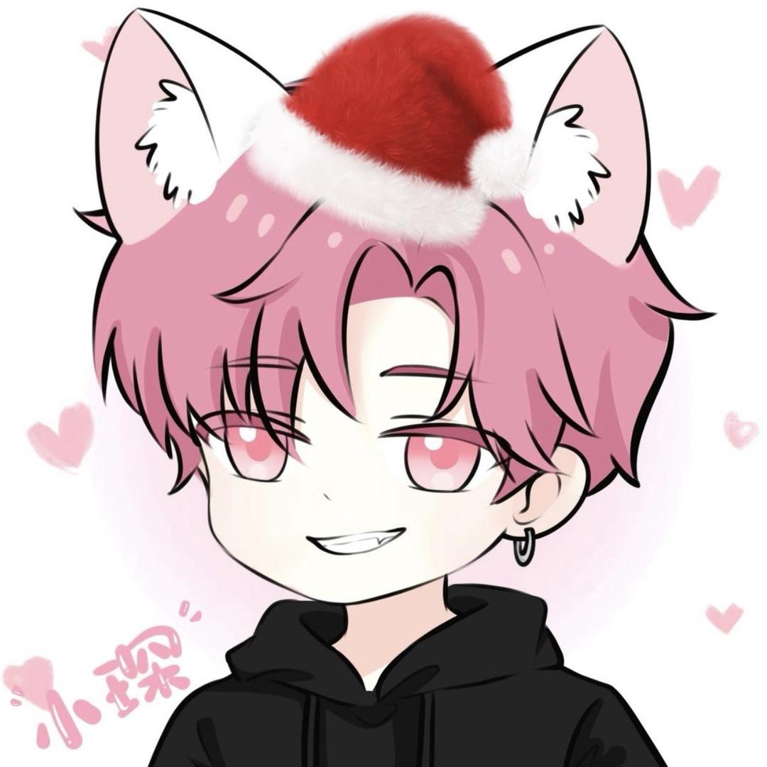 王文琛（红蝶课代表）