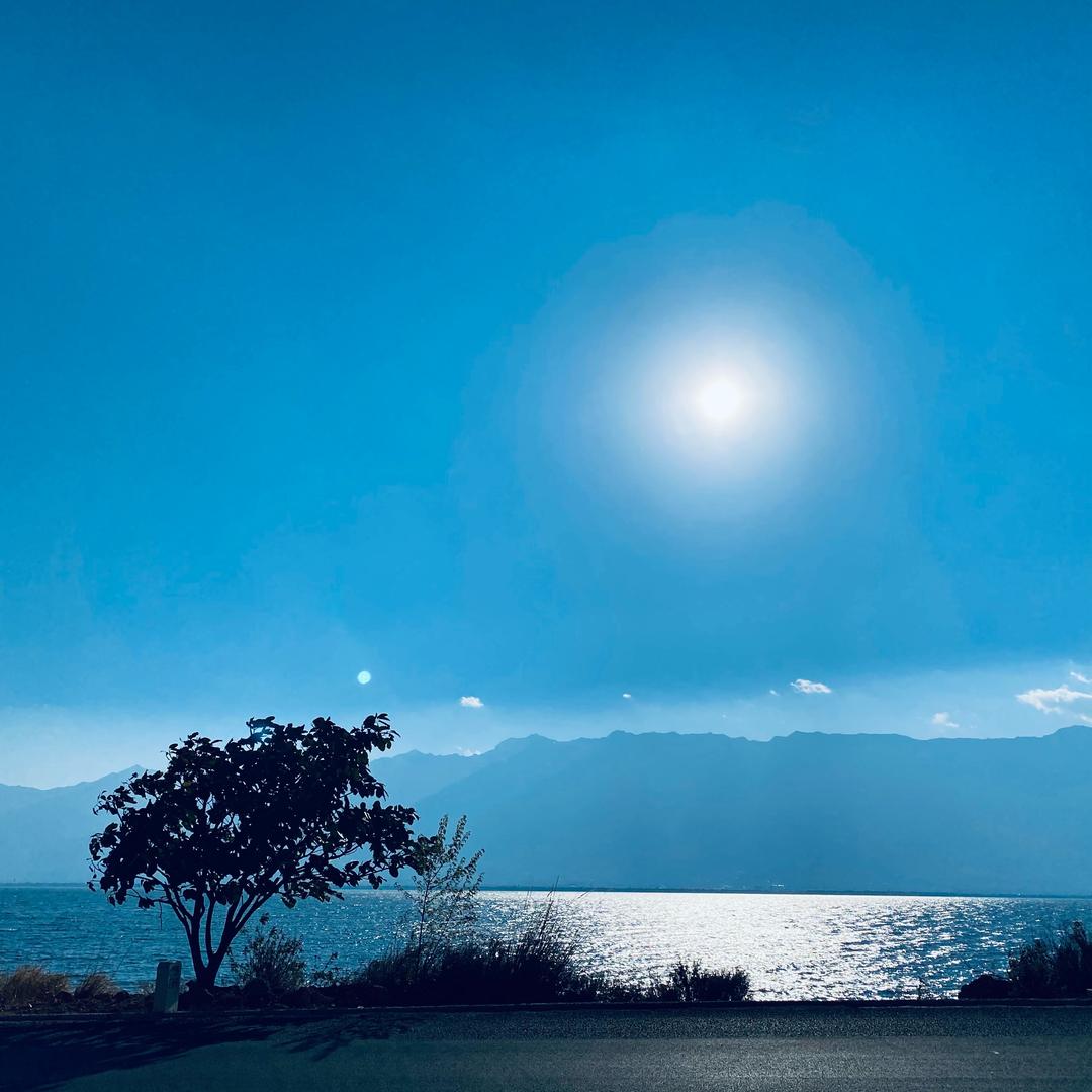 ミ木子李👉🏿🎃