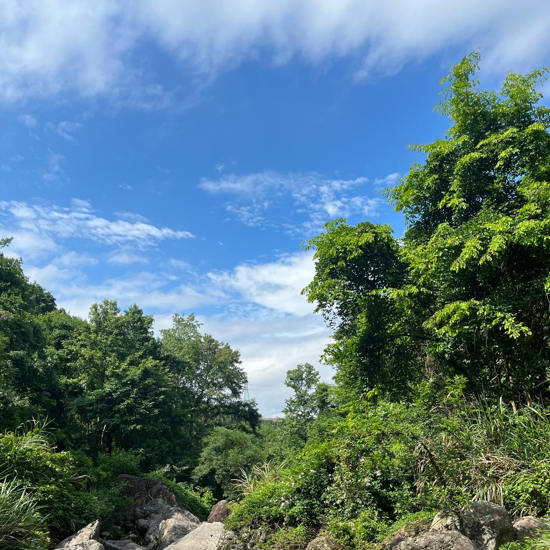 向☀️