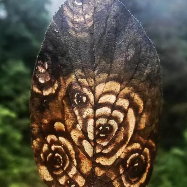 ༼࿅क्षिमो पामु࿄༽