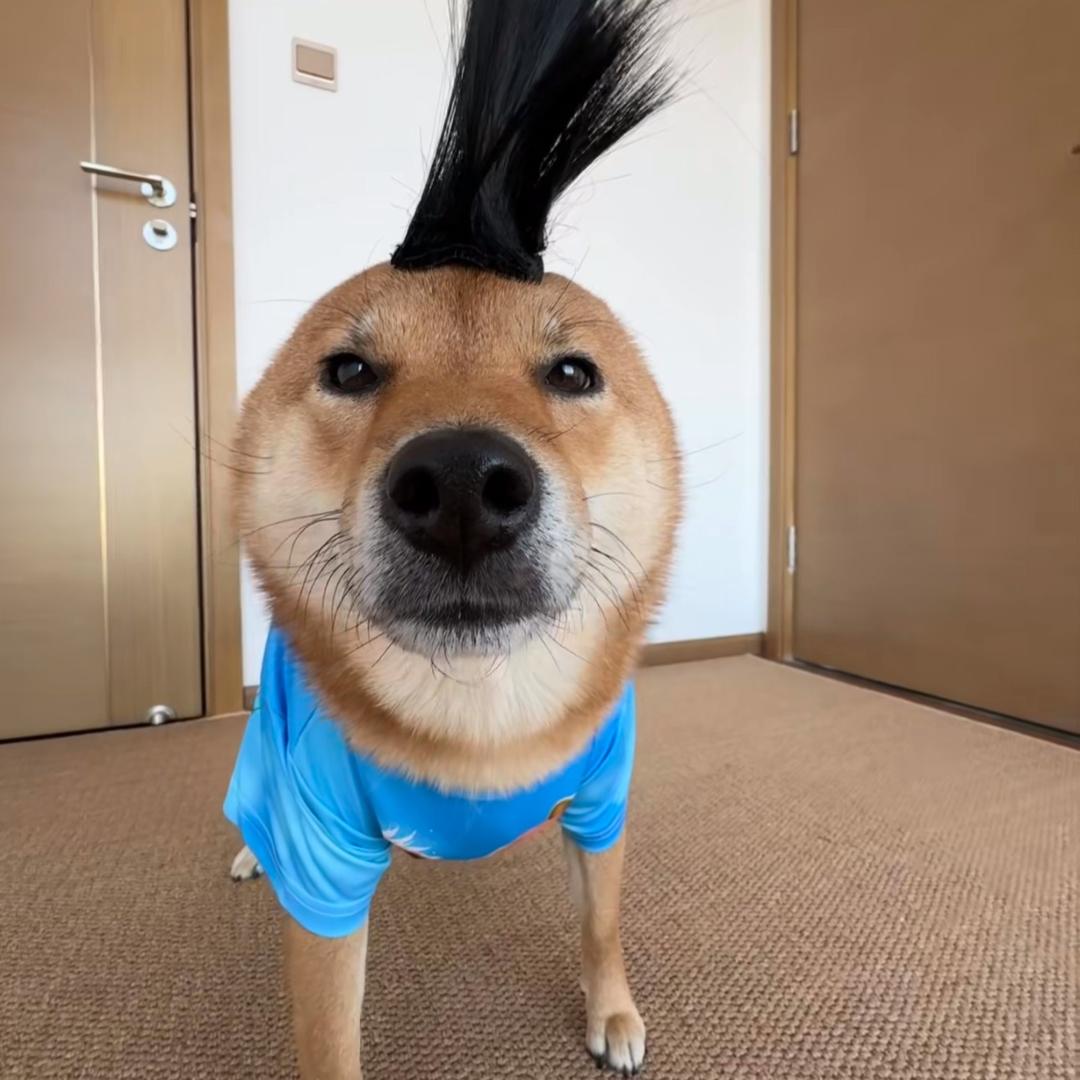 小北极