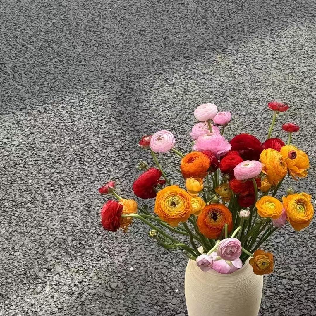 王宝宝.