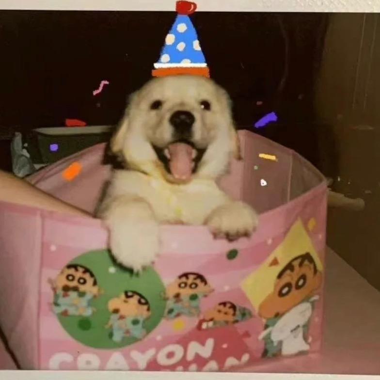 美味嘚蟹黄堡🍔