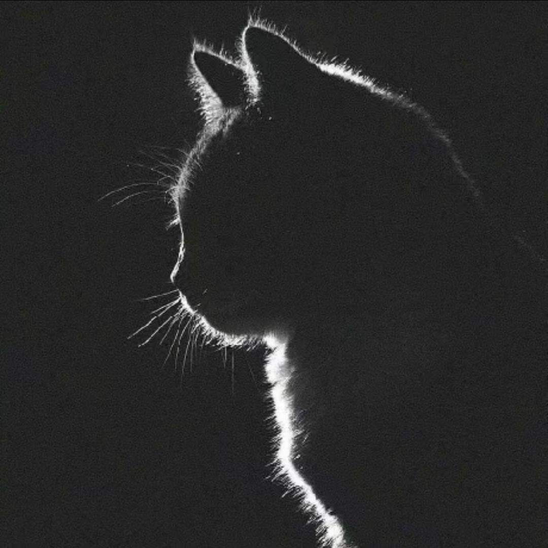 还清所有债务再改名