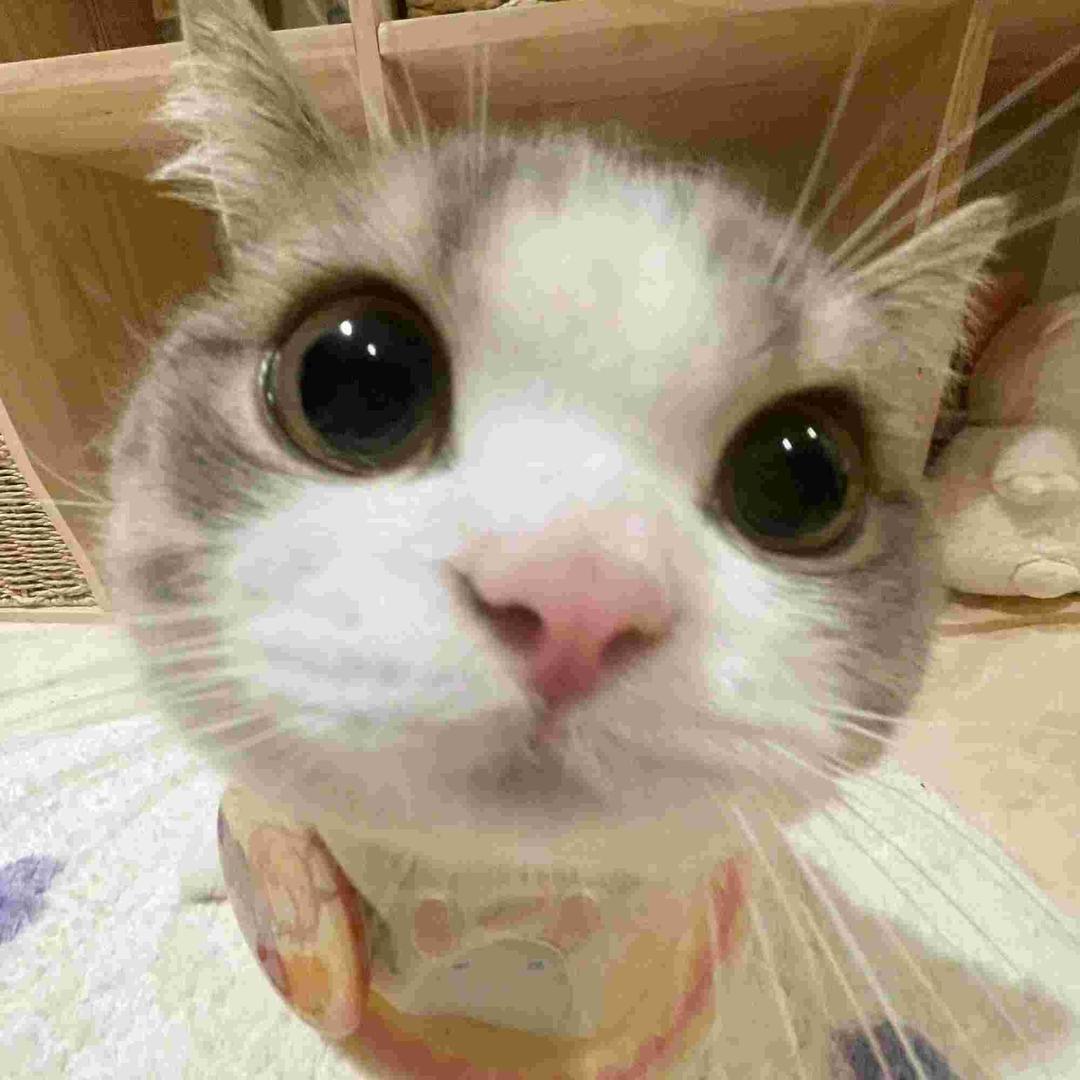 西奥笑