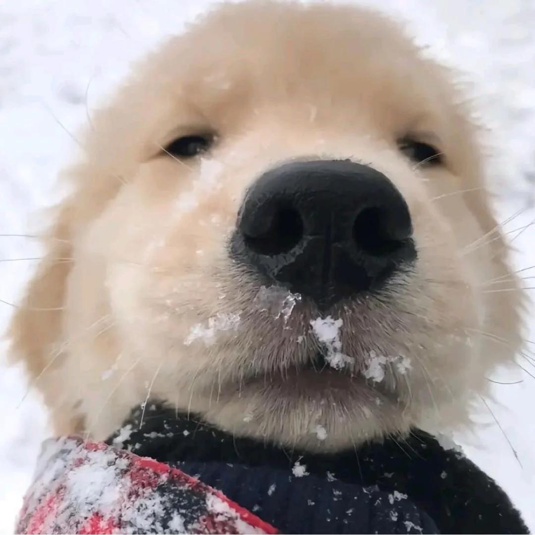 等一次雪落