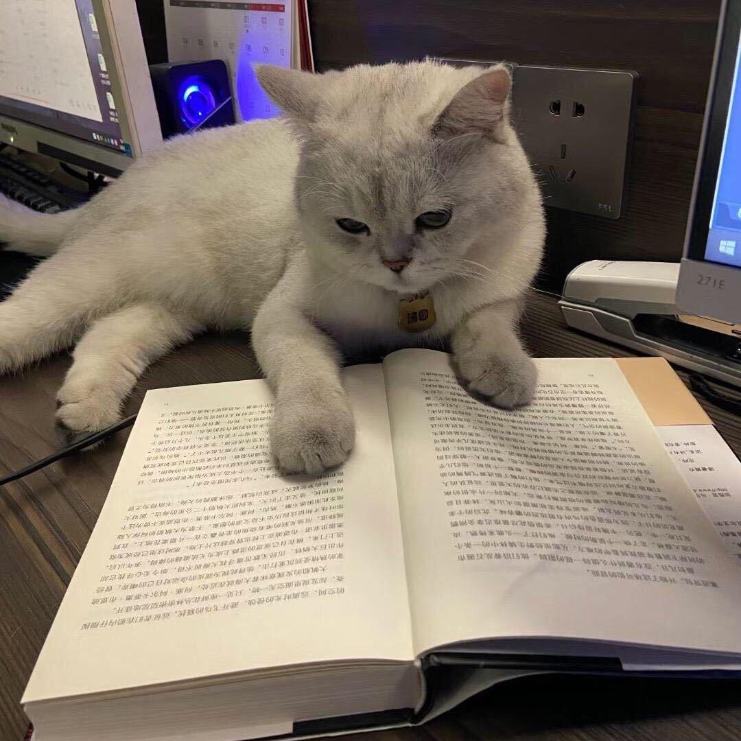 𝑬𝒍𝒊𝒂𝒖𝒌