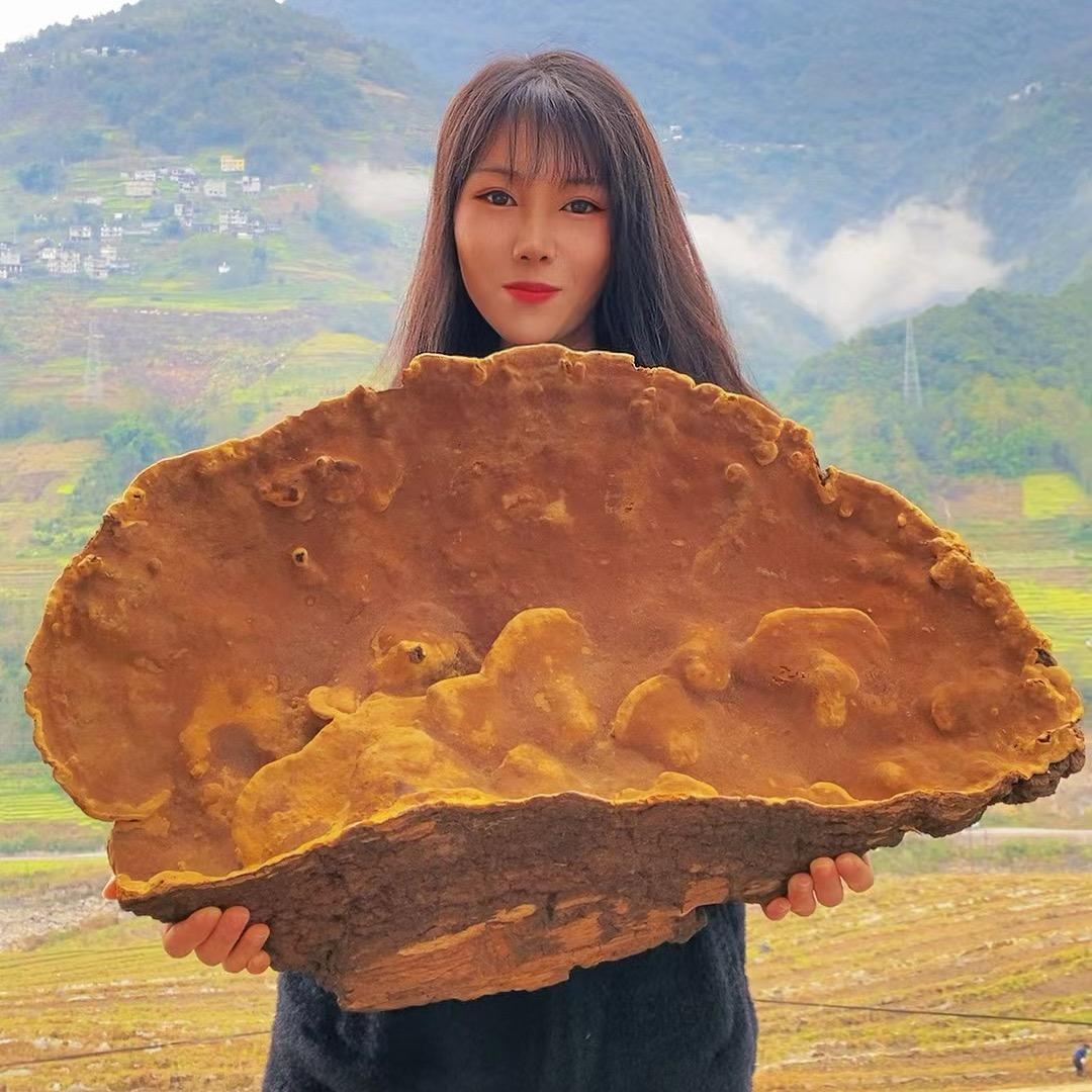 西藏桑黄山村夫人滋补1号铺