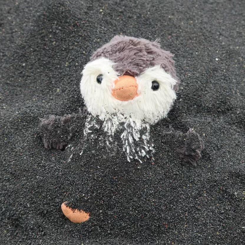 我的名字就叫这个好了