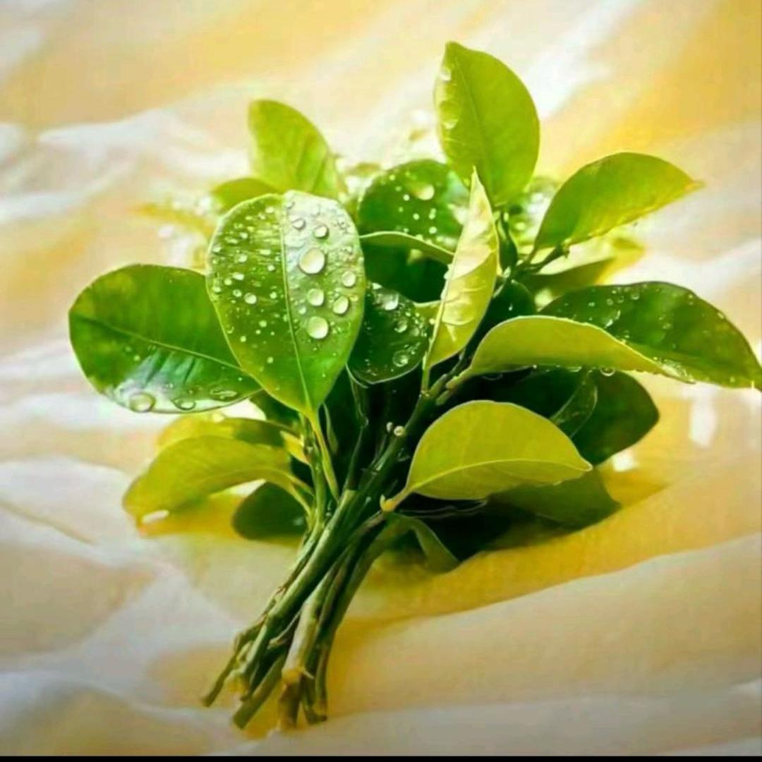 Lσνεএº᭄2⃨1:57⃨♡⁵²º