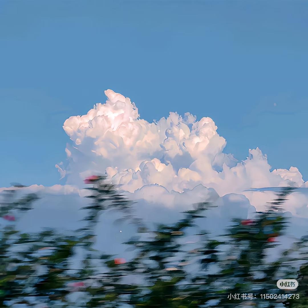 王小欠儿