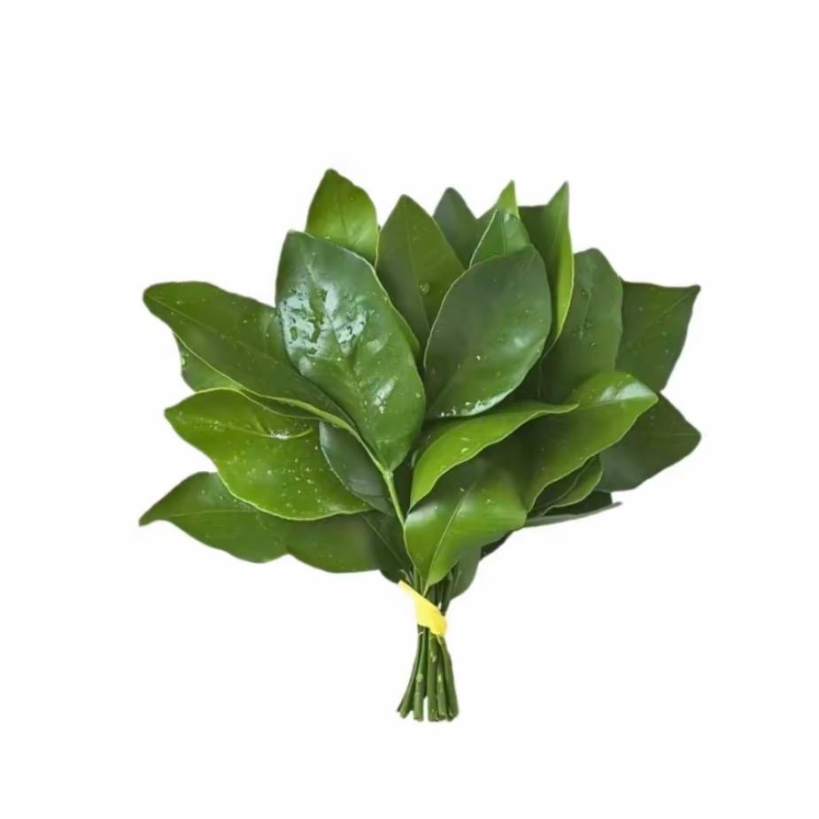 陈皮蛋～