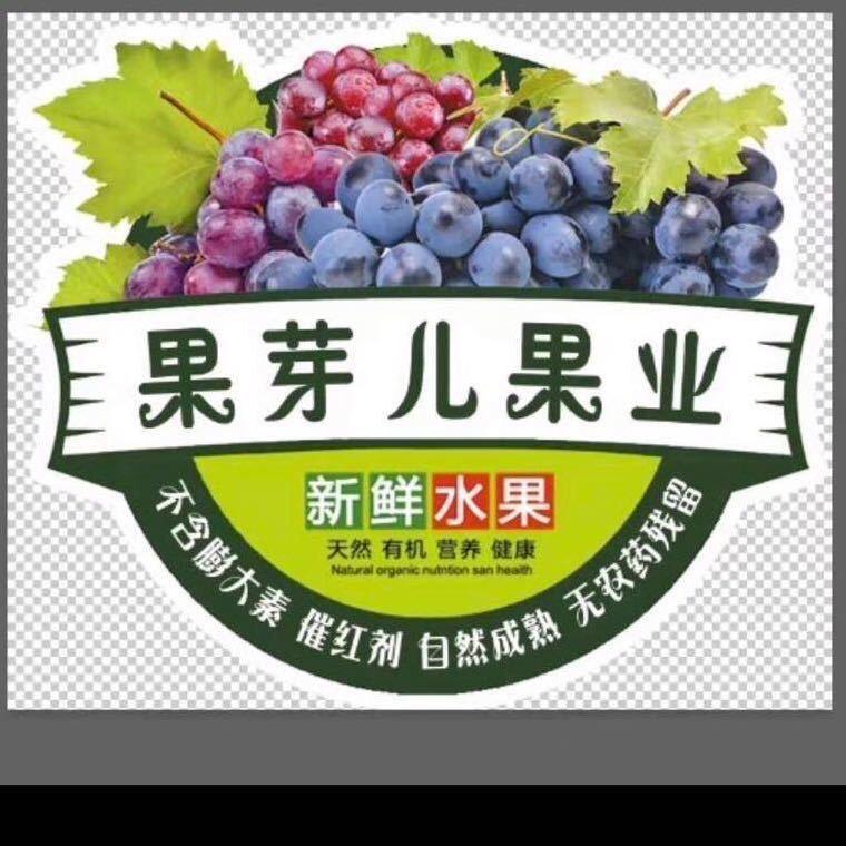 山东葡萄果芽儿农场