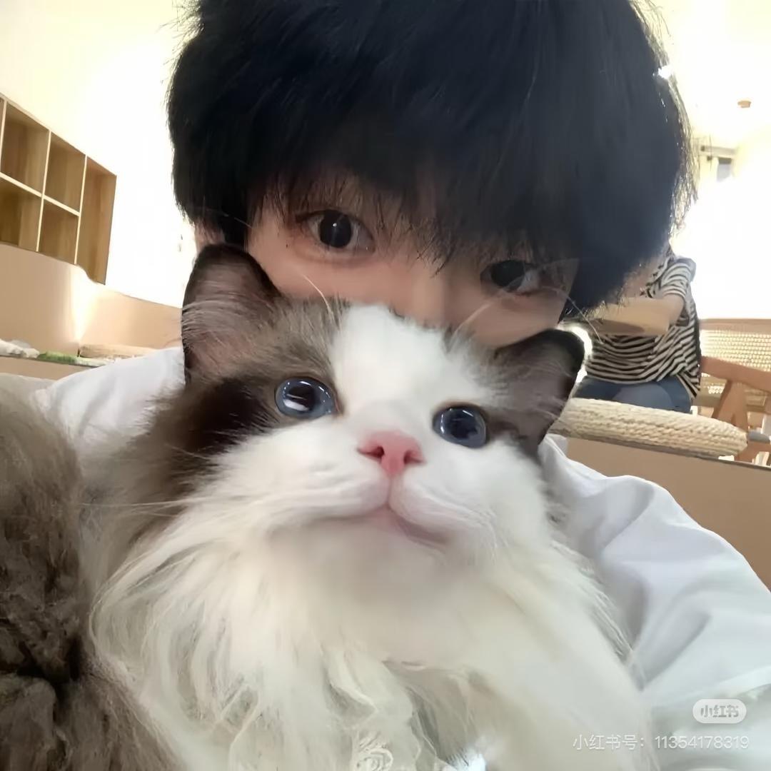 小雨绵绵