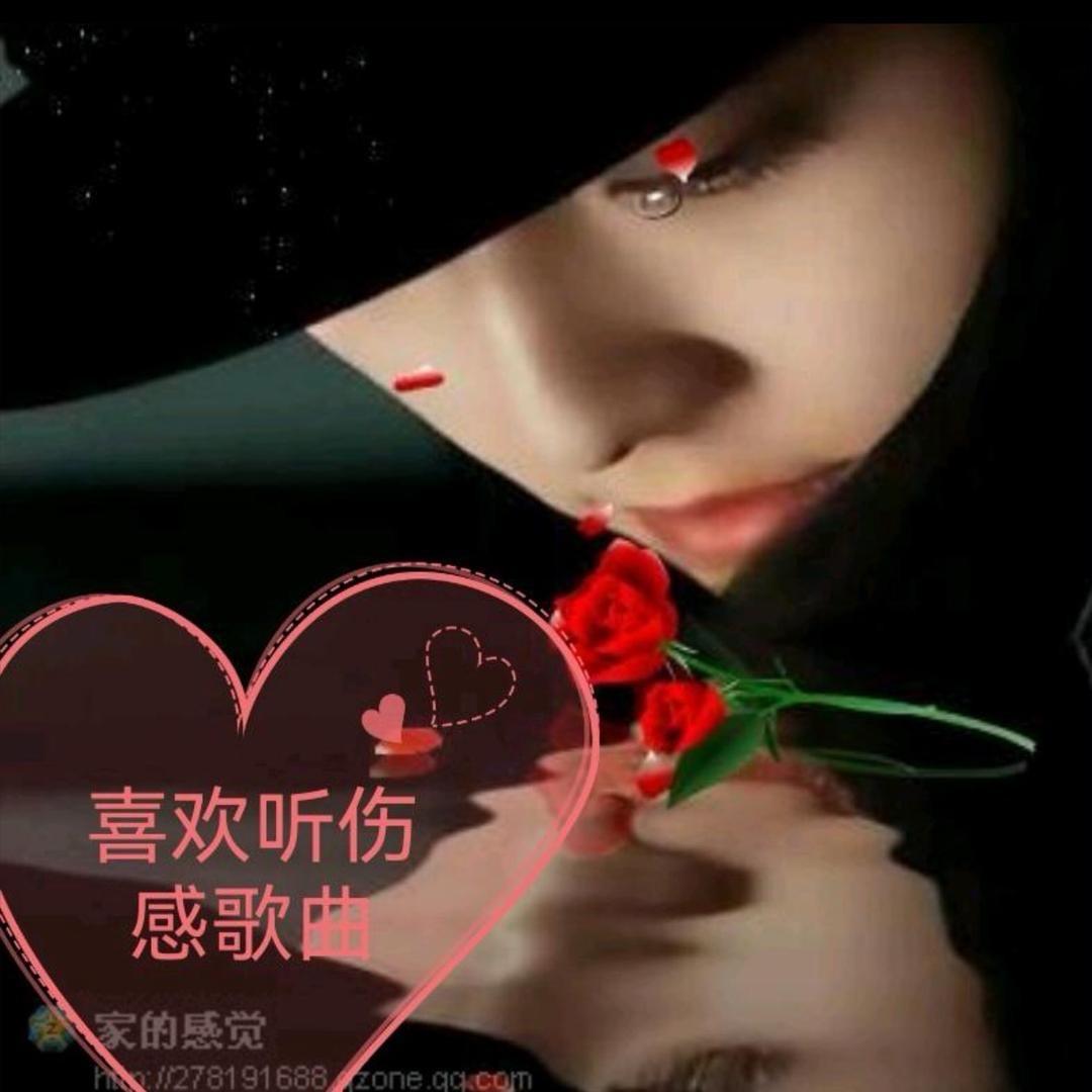 ❤️心雨❤️