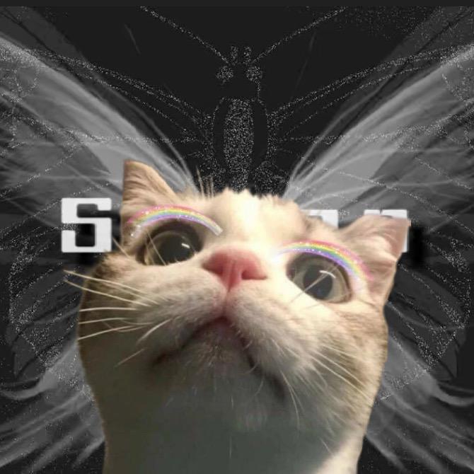 灼灼².𝑠𝑚