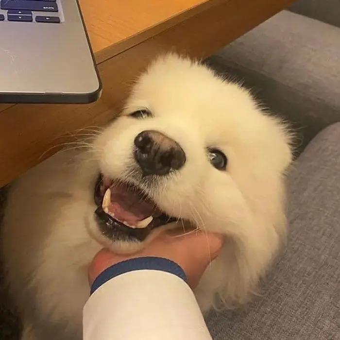 它们需要温暖❤️