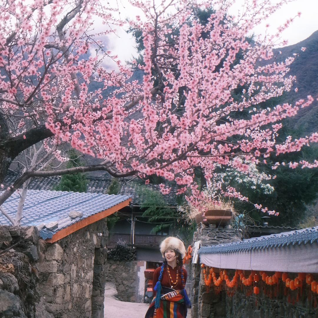 甲趣小筑·主理人·潘豆豆