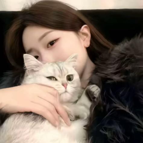 ㅤ  ㅤ喜欢胸上纹kt猫的