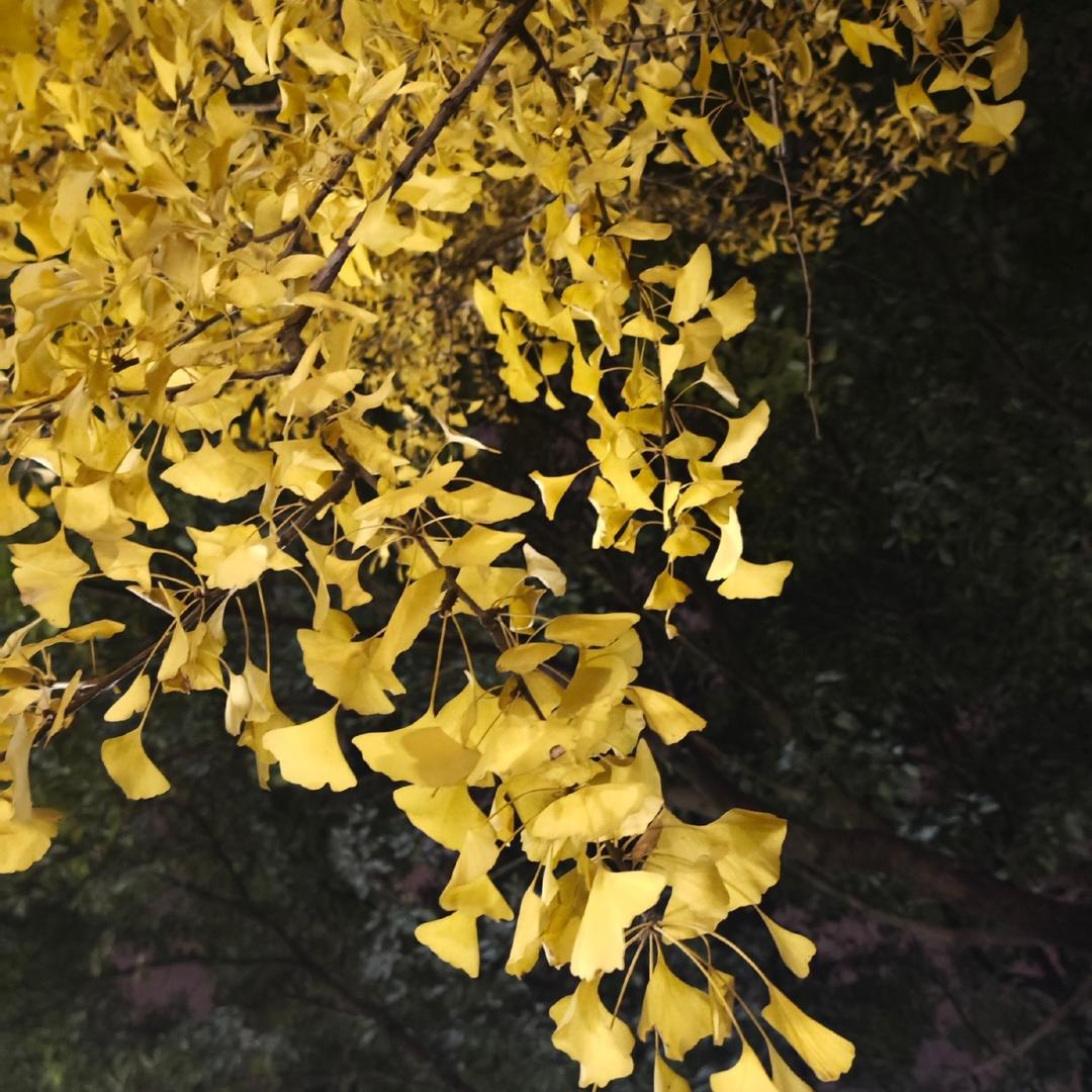 低头方见水中天