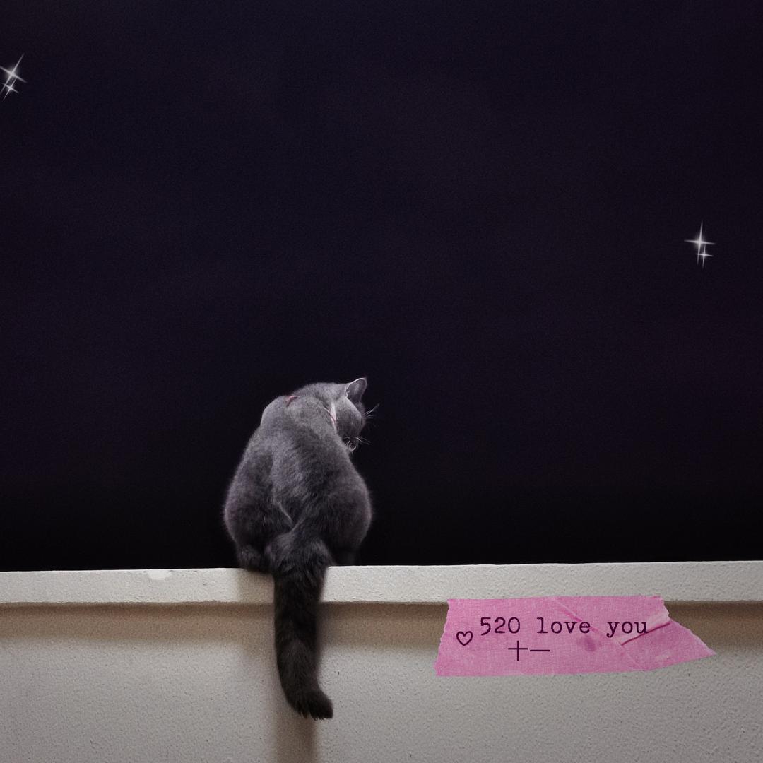 陈十一✨