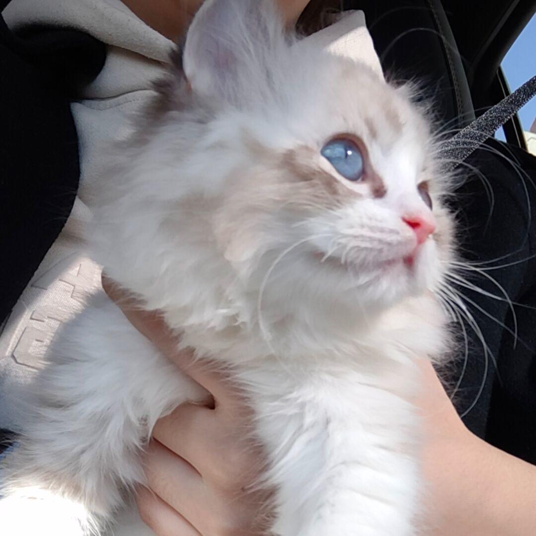 Cc. ￴ ￴ㅤㅤㅤㅤㅤ