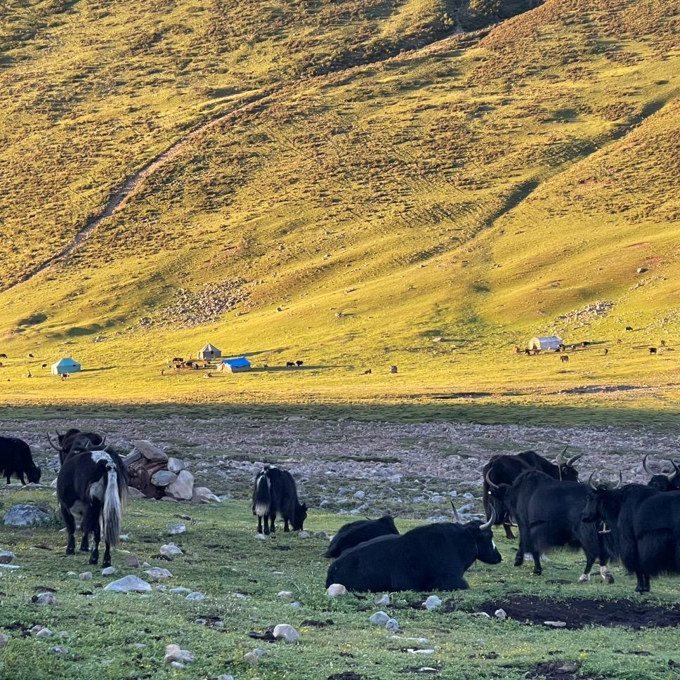 大梦想家艺术空间