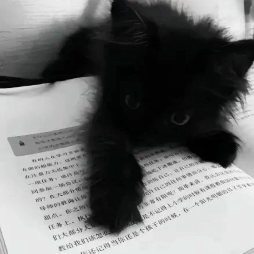 jiang漓、🎧