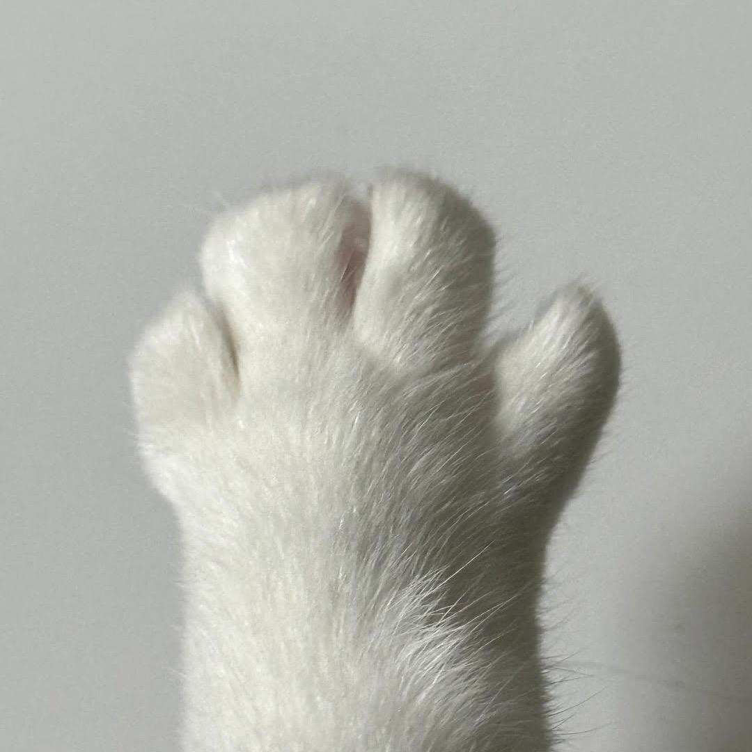 魅力满格