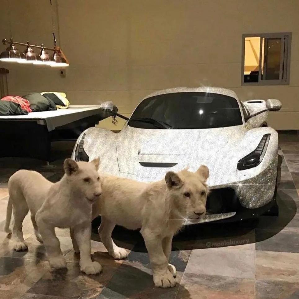 钟登荣创意广告小铺