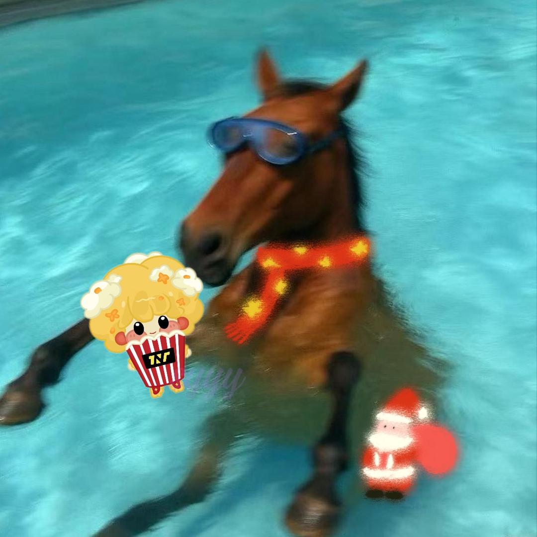 sy杳杳