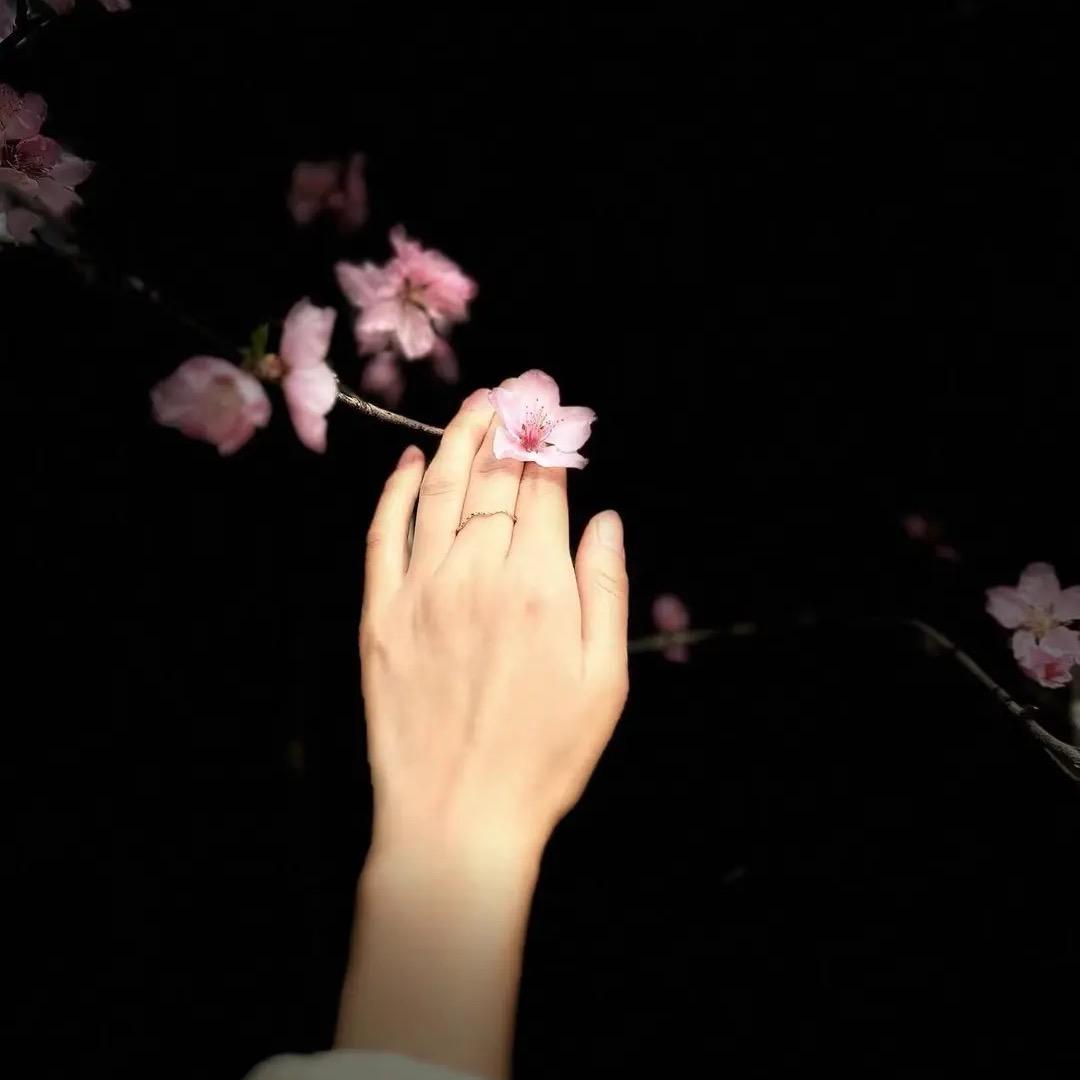 小鱼包