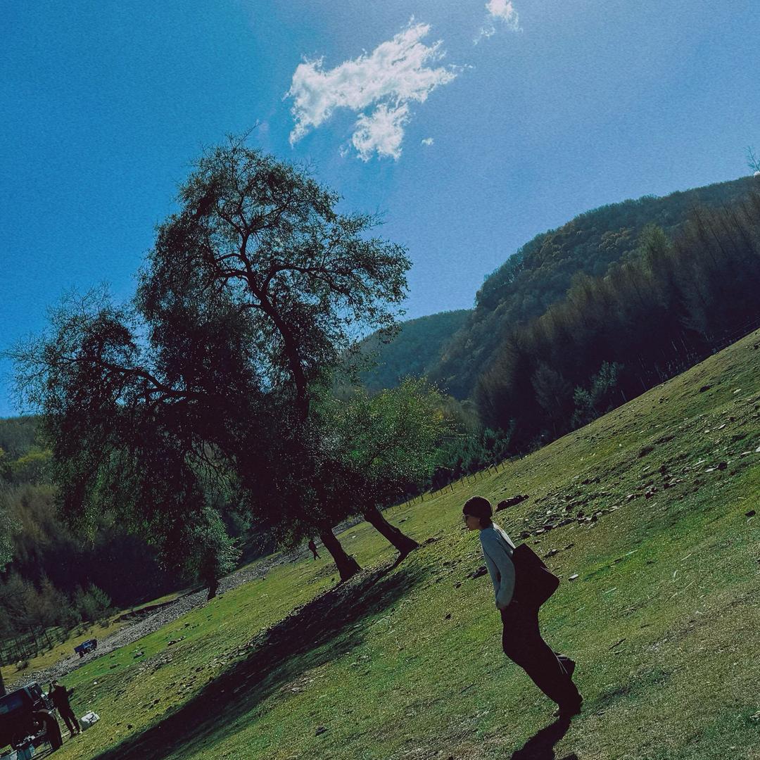 赤峰森筑空间设计～软装搭配师/王可