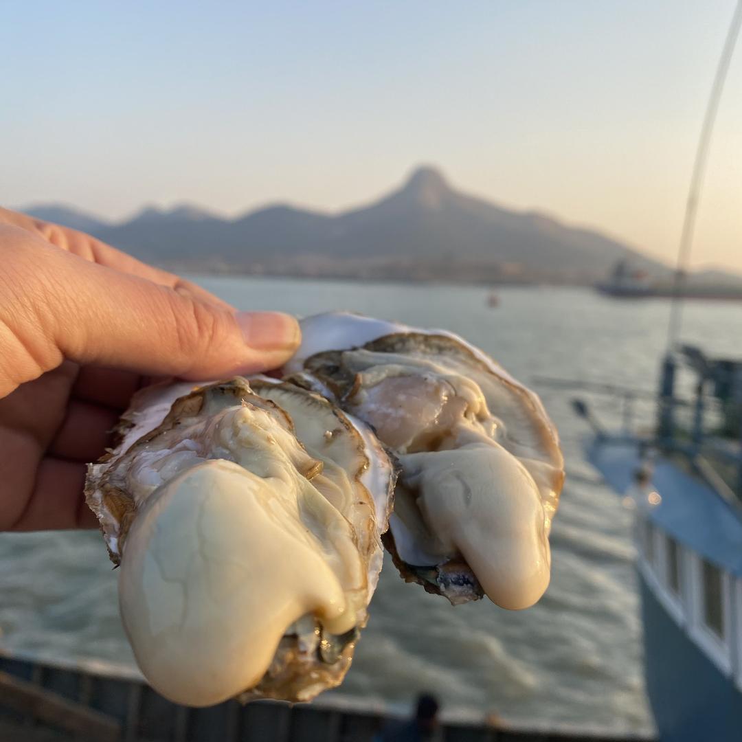 乳山非凡生蚝