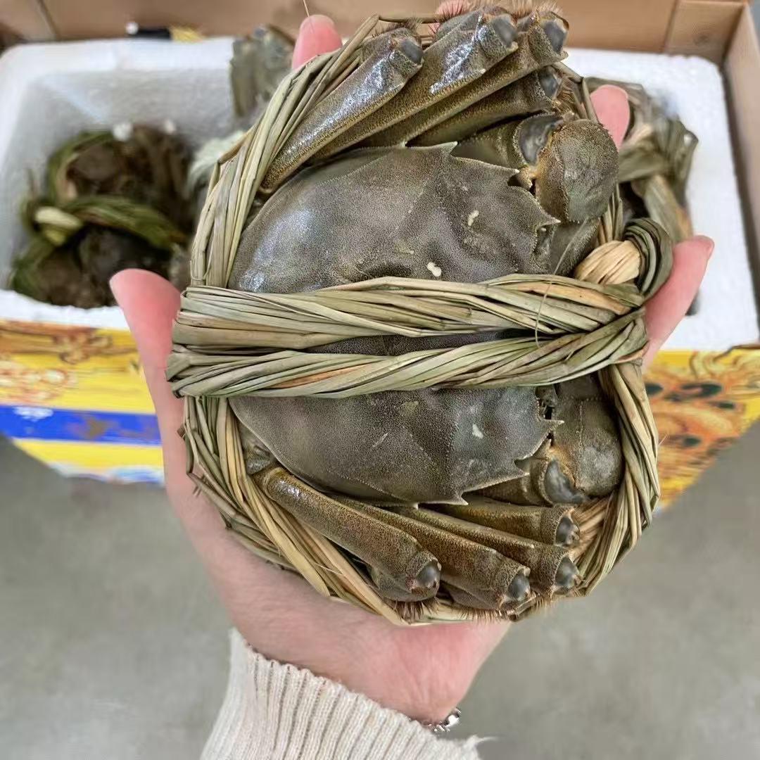 固城湖大闸蟹农小袁