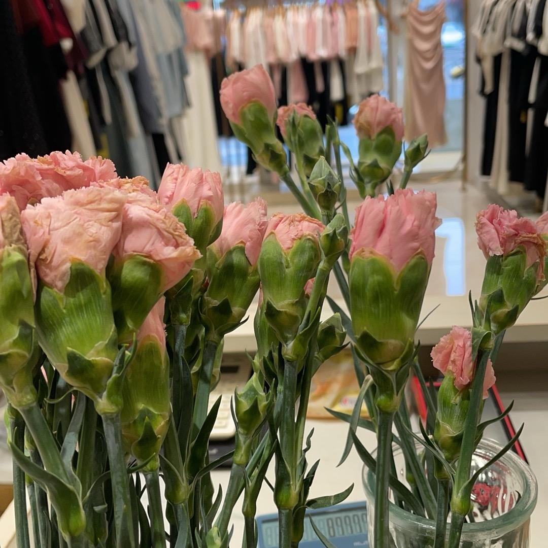 🌹🌹