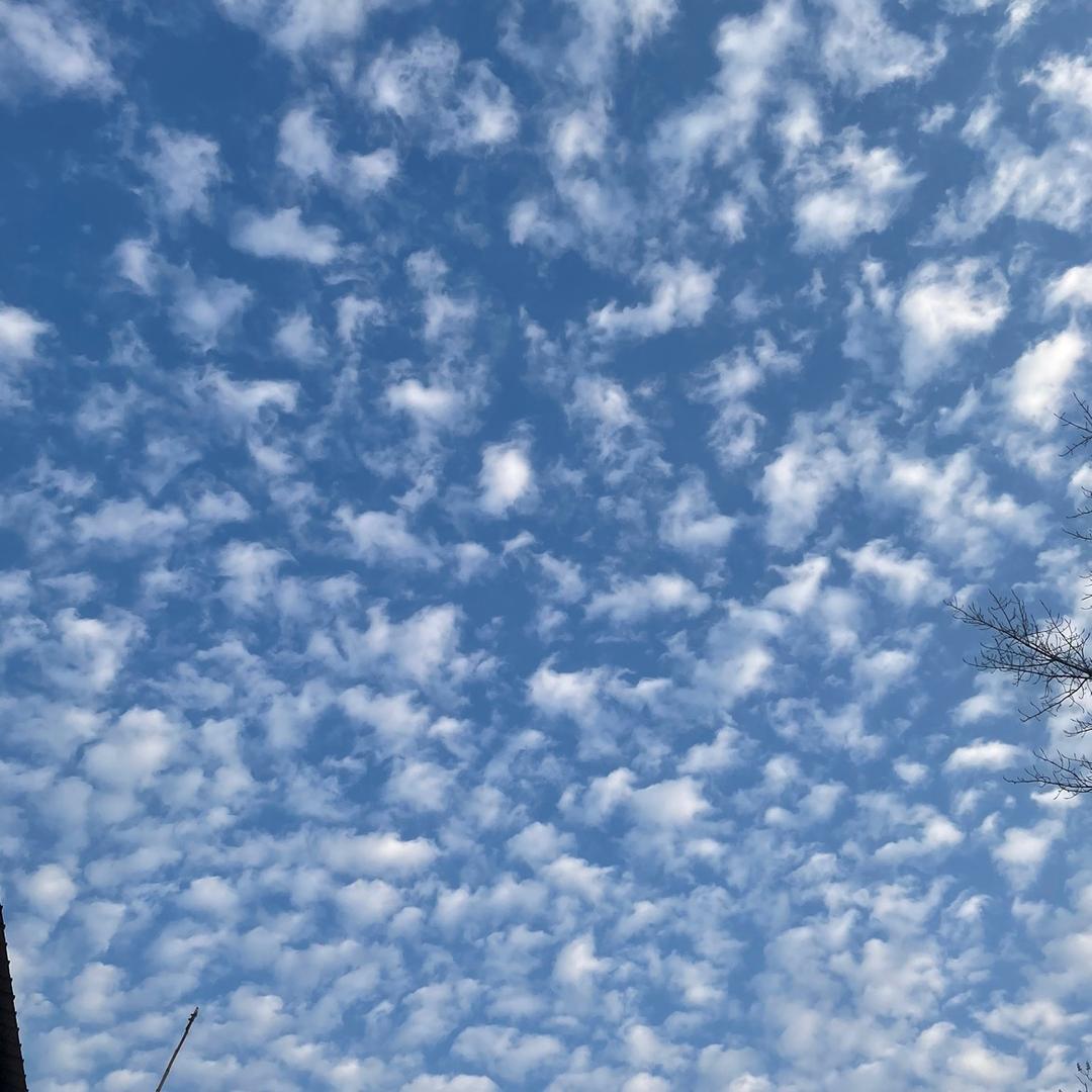 蜕变（拒绝连赞） 谢谢🙏