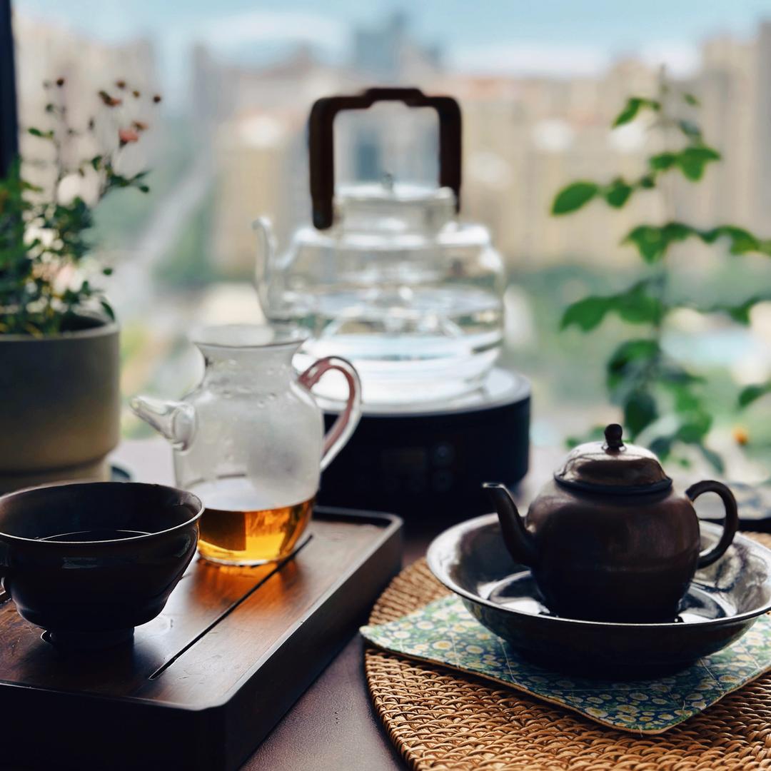 一片树叶的故事