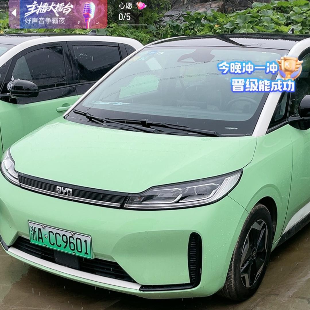 小杜新能源汽车（板发全国）