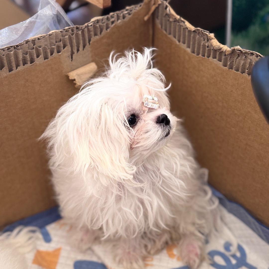 山河电竞-满满❄️