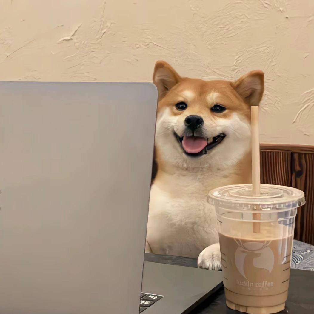 追风少女王小王