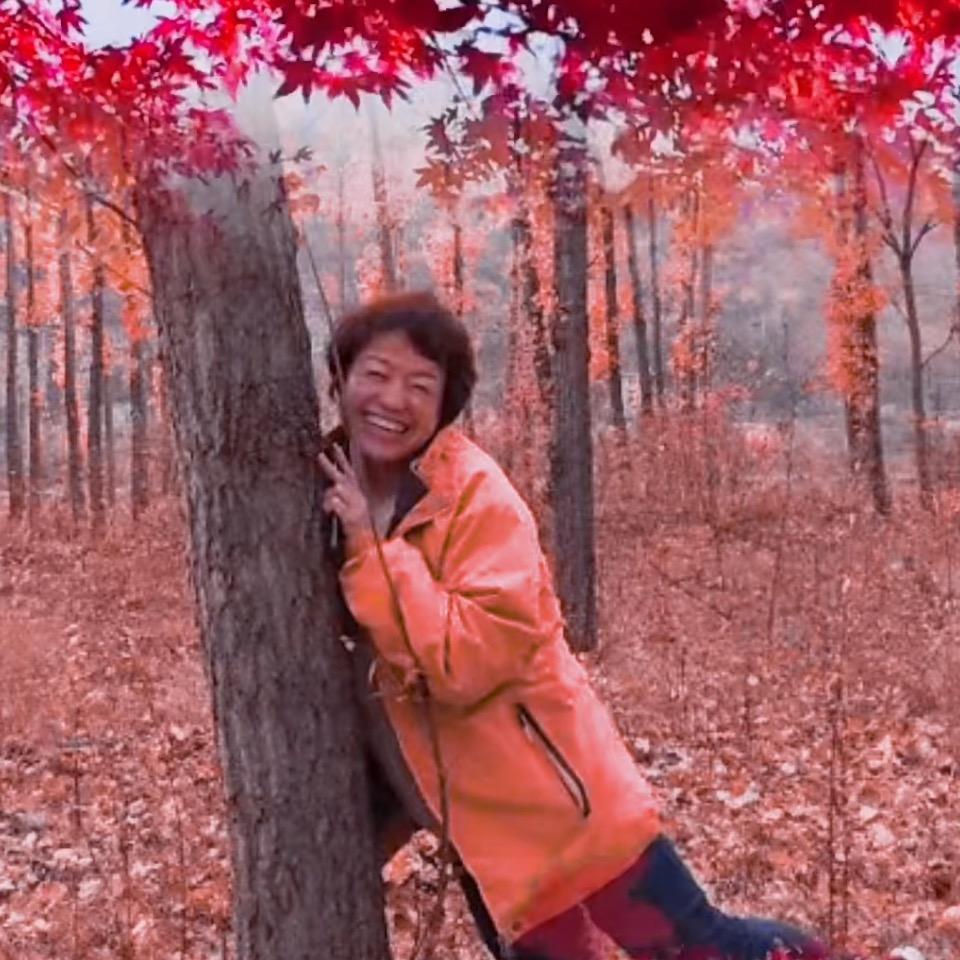 月亮的时光茶舍