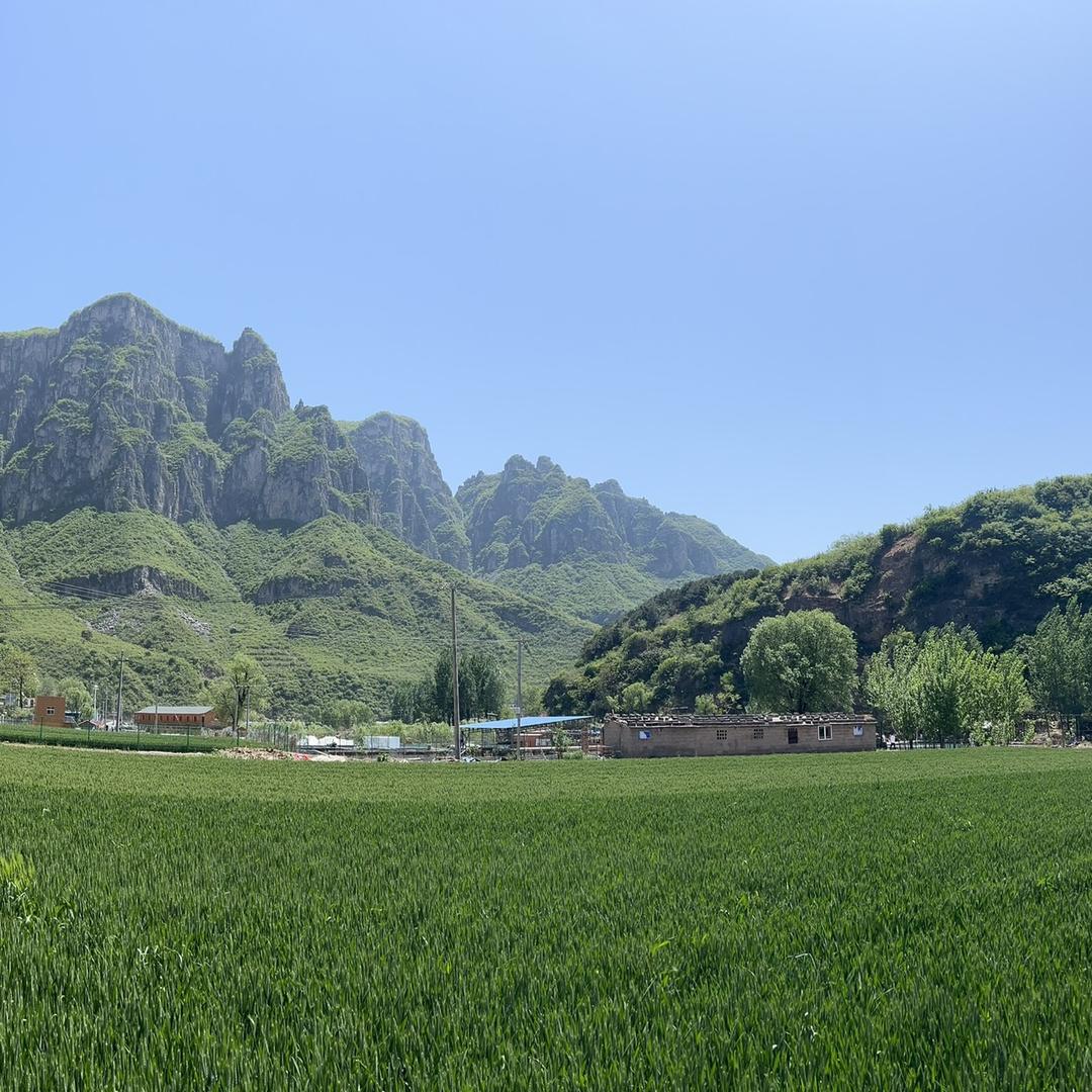 小芮和小鸣