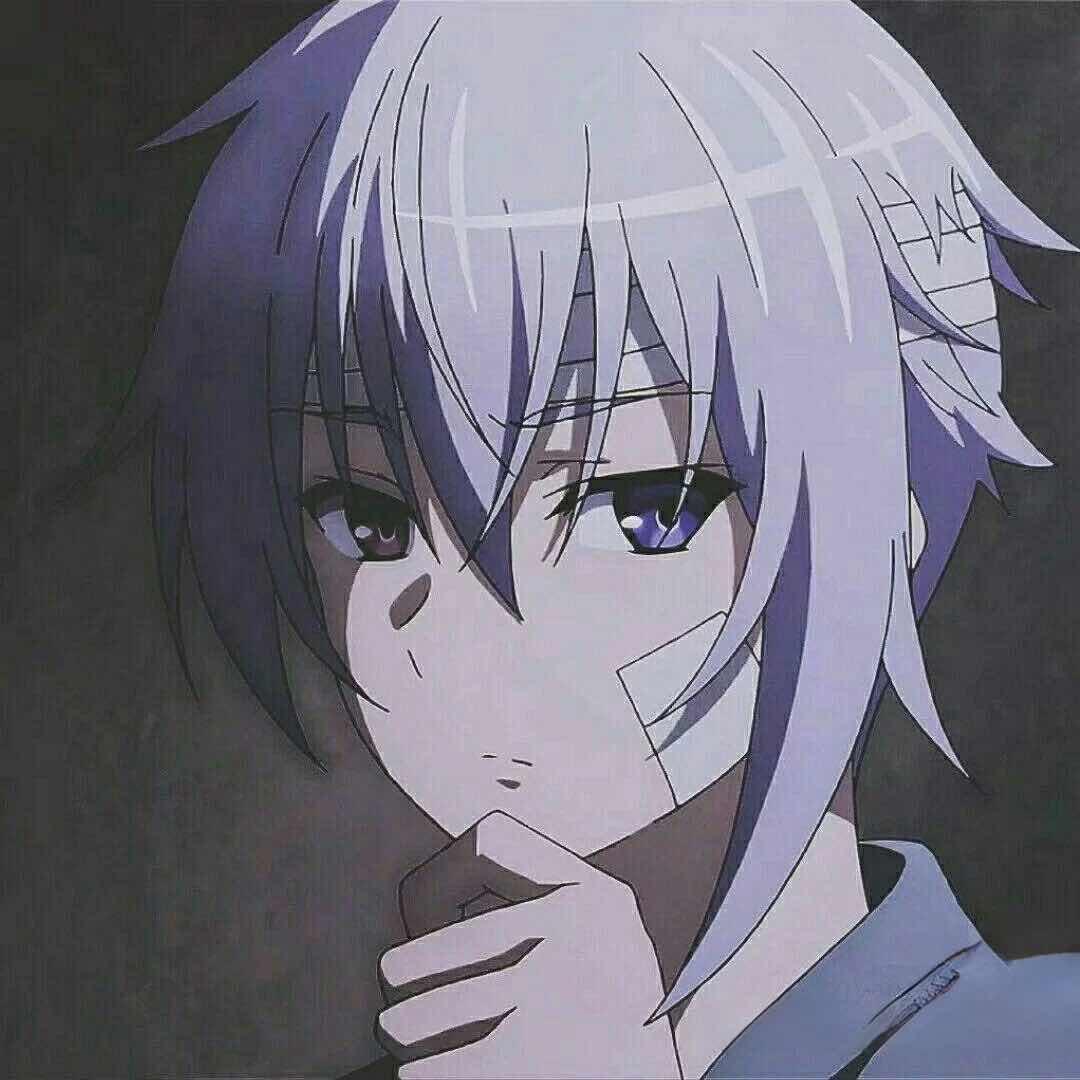 纯静